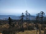 IMG_20250222_114521