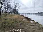 IMG_20250212_104814