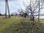IMG_20250212_104943