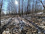 IMG_20250219_122421