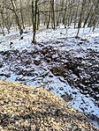 IMG_20250219_122857