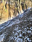 IMG_20250219_124318