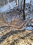 IMG_20250219_125239