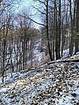 IMG_20250219_125721