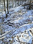 IMG_20250219_125955
