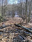 IMG_20250219_131706