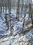 IMG_20250219_132007