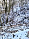 IMG_20250219_133341