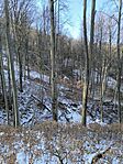 IMG_20250219_134327