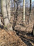 IMG_20250219_141135