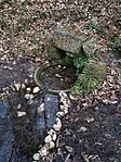 IMG_20250201_134155177