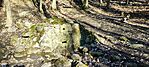 IMG_20250201_131315