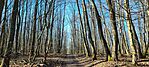 IMG_20250201_112608