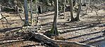 IMG_20250201_113147
