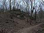 IMG_20250209_164531