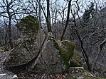 IMG_20250209_165435