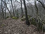 IMG_20250209_165119