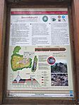 IMG_20250216_160426