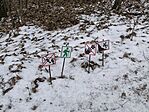 IMG_20250216_160524