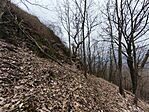 IMG_20250216_161725