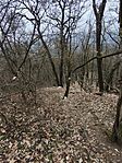 IMG_20250216_162419