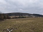 IMG_20250216_125818