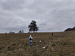 IMG_20250216_130919