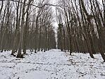 IMG_20250216_132515