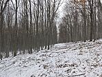 IMG_20250216_133942