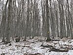 IMG_20250216_134051