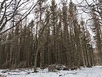 IMG_20250216_143708