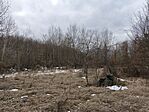 IMG_20250216_122849