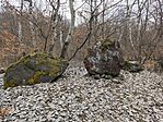 IMG_20250216_122145