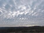 IMG_20250209_144637