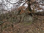 IMG_20250209_135412