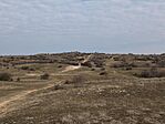 IMG_20250209_113517