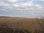 IMG_20250208_160703