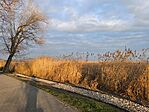 IMG_20250208_161626