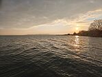 IMG_20250208_162755