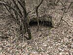 IMG_20250208_123025