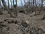 IMG_20250209_162457