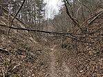 IMG_20250223_112950