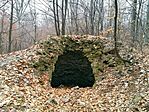 20250208_104415.jpg