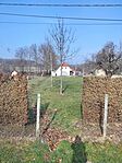 IMG20250207114542