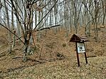 IMG20250208132048