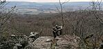 IMG_20250208_140226