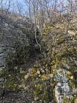 IMG_20250222_094349