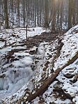 20250225_101805.jpg