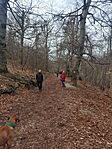 IMG_20250201_124138