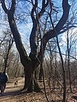 IMG_20250201_131033